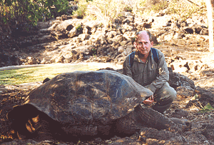 Stephen Baxter: tortoise